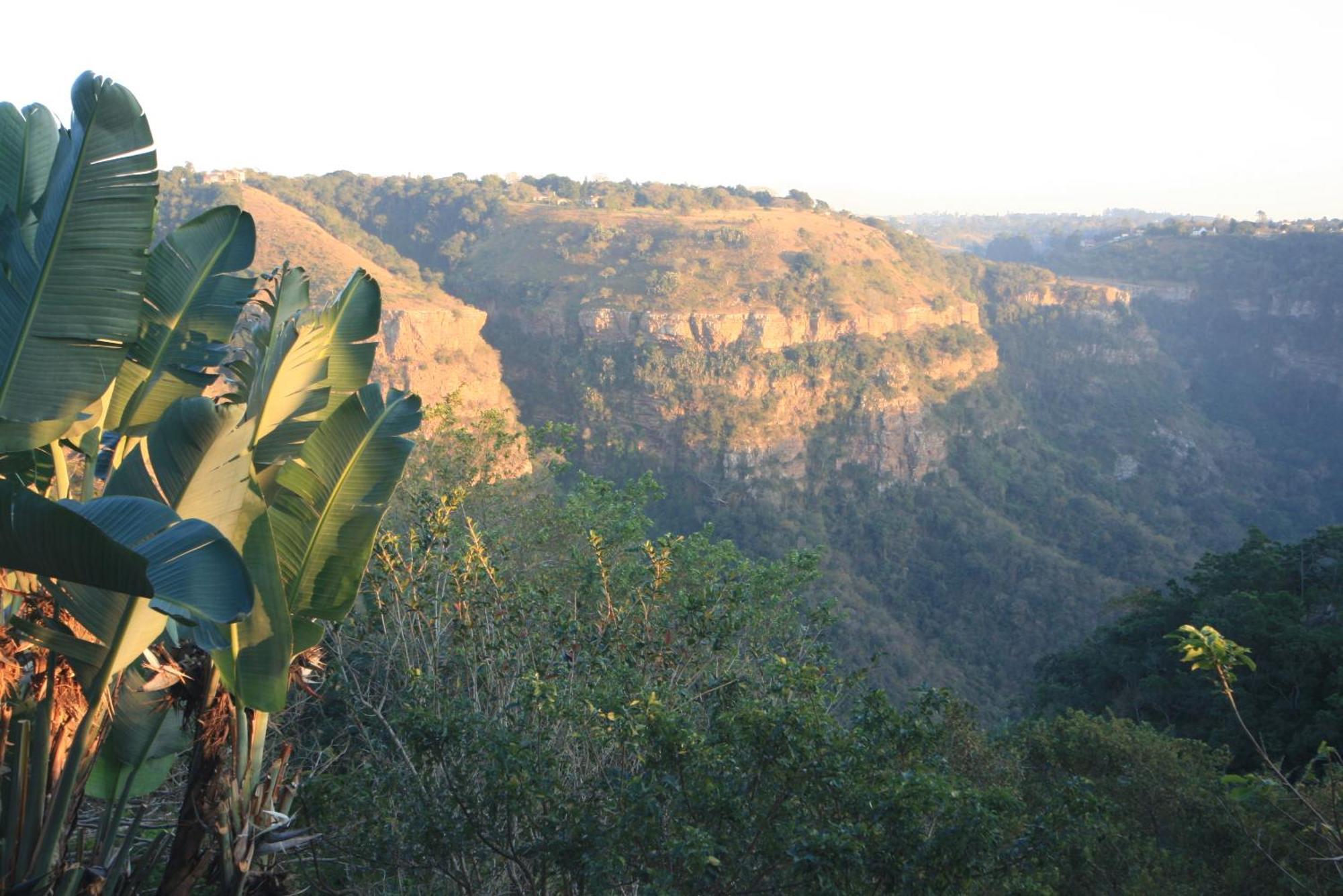 Ammazulu African Palace Kloof Bagian luar foto